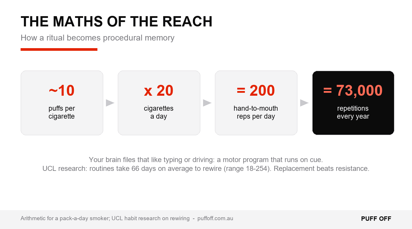 The maths of the reach: how a daily ritual becomes 70,000 repetitions a year.